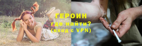 индика Осташков