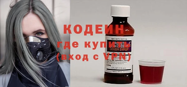индика Осташков