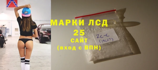 индика Осташков
