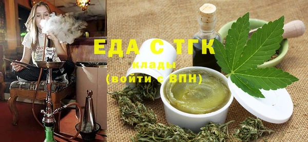 индика Осташков