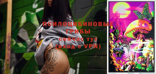 индика Осташков