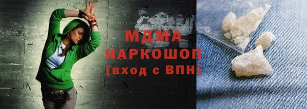 индика Осташков