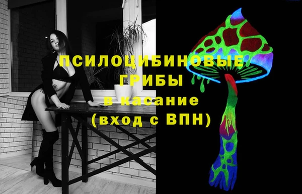 спайс Губаха