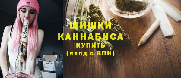 индика Осташков