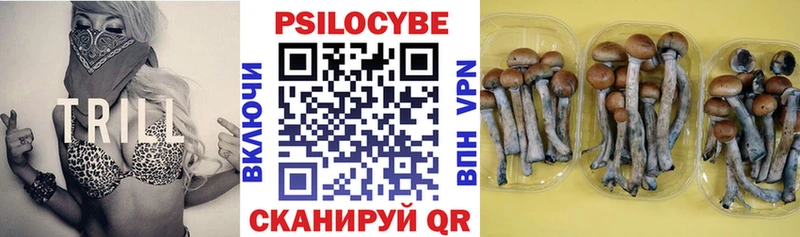 Псилоцибиновые грибы ЛСД Почеп